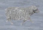 supersheep.gif (5498 bytes)